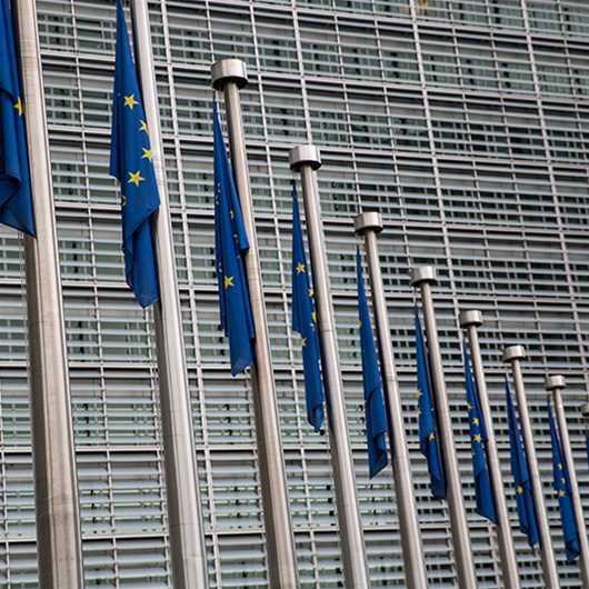 Public Affairs and Future Policy Trends